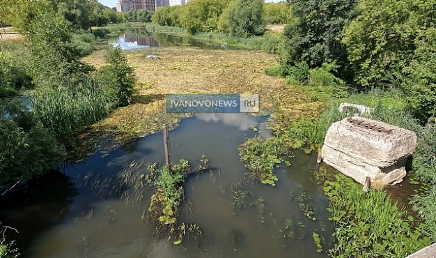 Для уборки водорослей из Уводи хотят привлечь ивановскую общественность