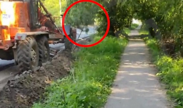 В Фурманове во время ремонта дороги трактором сломали высаженные несколько лет назад сосны