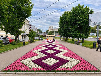 Почти 100 тысяч тюльпанов украсят Иваново весной
