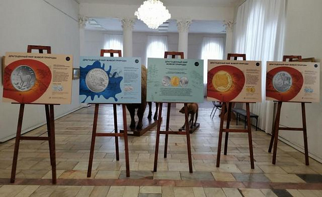 В регионе открылась выставка монет, посвященных животным