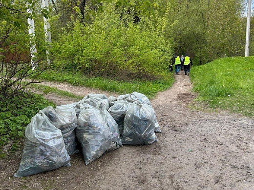  В Иванове из Варгинского оврага вывезли 40 мешков мусора 