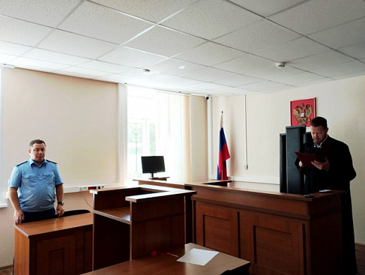 Житель Кинешемского района приговорен к 1,5 годам за 11 спиленных сосен 