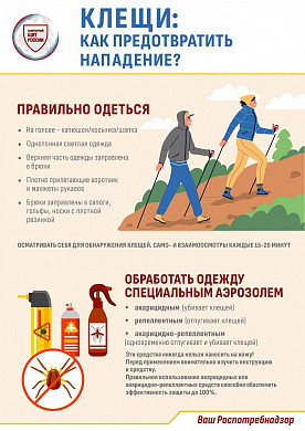 В Ивановской области 1722 человек были укушены клещами