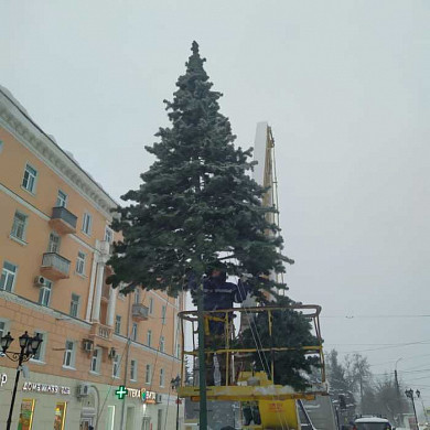Вторую городскую ёлку установили в Иванове
