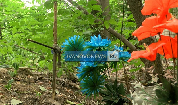 Вокруг многоквартирного дома в Иванове устроили кладбище домашних животных
