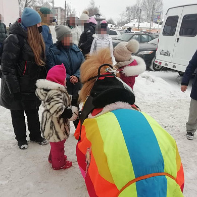 В Иванове лошадники незаконно привлекают к работе детей