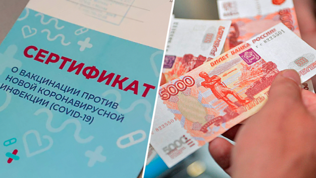  В Ивановской области заведующая ФАПом оформляла поддельные сертификаты о вакцинации от ковида 