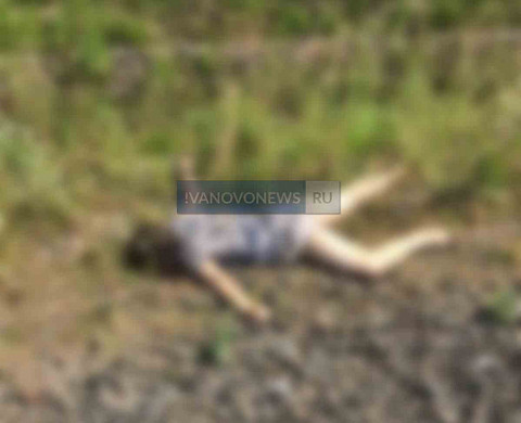 В Ивановской области под поезд попала женщина 