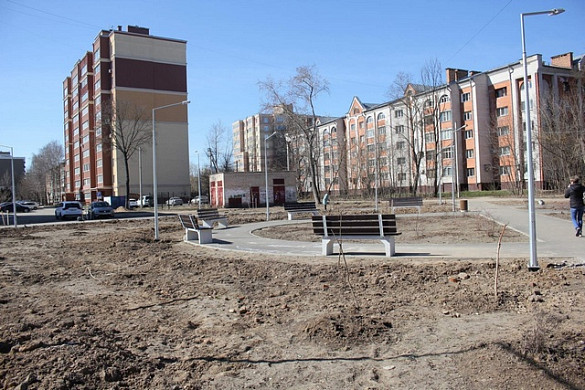 В Педагогическом сквере Иванова высадили 30 берез и кленов