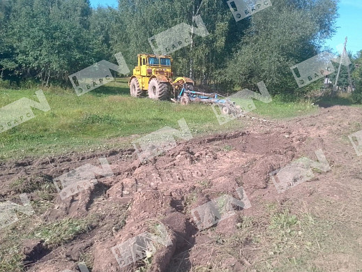 В Пучежском районе больше полугода не могут избавиться от бычков-нелегалов с лейкозом 