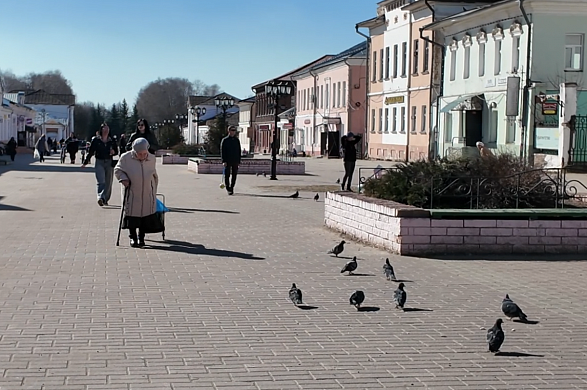 В Шуе решили бороться с голубями на главных улицах