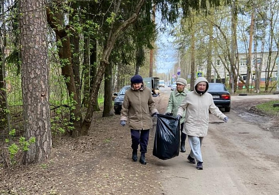 Более полутора тысяч активистов ТОСов вышли на субботники в Иванове