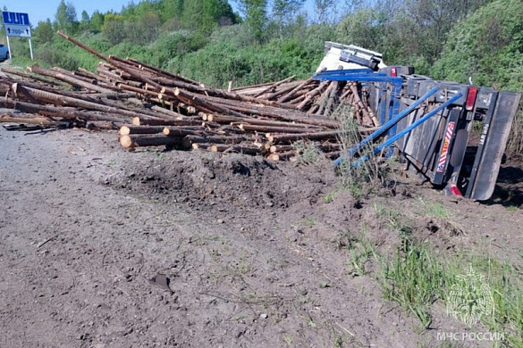  В Вичугском районе столкнулись лесовоз и легковушка 