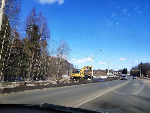 На Московской трассе массово вырубают деревья