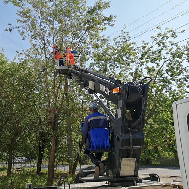 В Иванове на перекрестке  улиц 8 Марта и Калинина спилили аварийные деревья