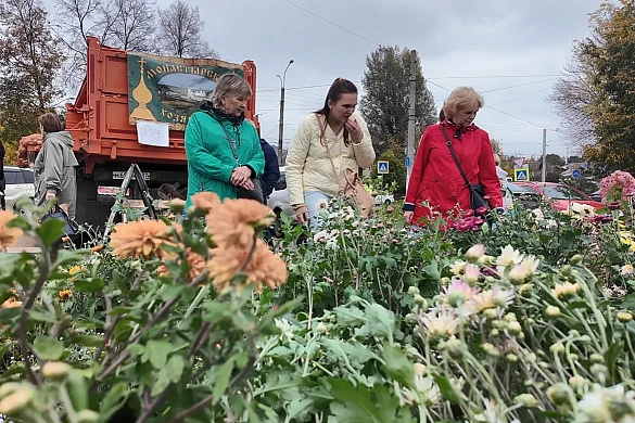 В Иванове проходит ярмарка День урожая 