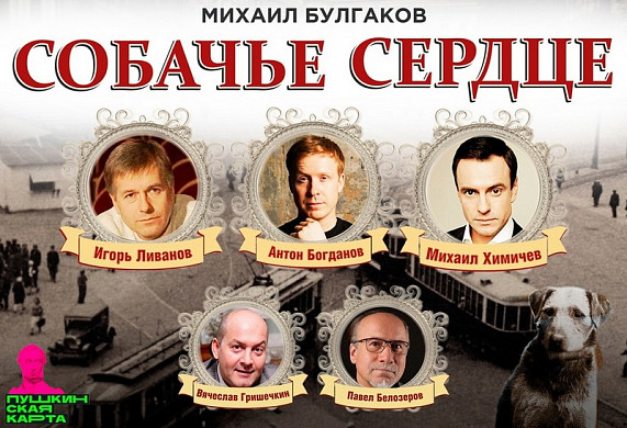 Кохомчанин отдал 36 тысяч рублей за «Собачье сердце»