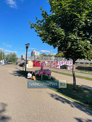 На набережной Уводи в Иванове снесли деревья и загубили газоны