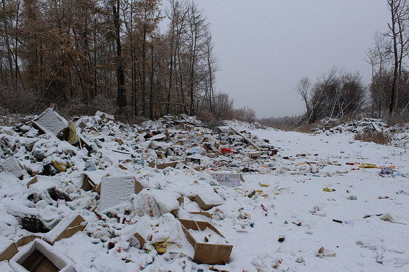 Компания «Юг» размещала отходы не на полигоне ТКО, а в лесу