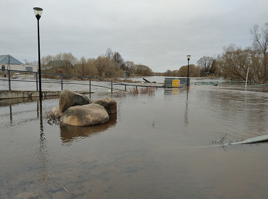 В Холуе под воду уходят приусадебные участки 