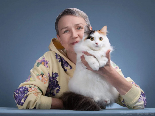 Кошка Стрелка из Иванова признана лучшей домашней кошкой в мире