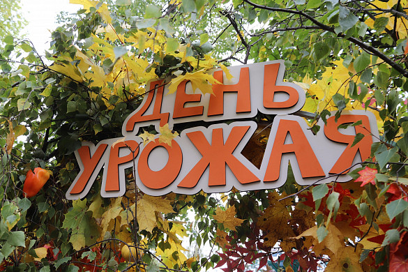 В Иванове пройдет конкурс «Праздник урожая»