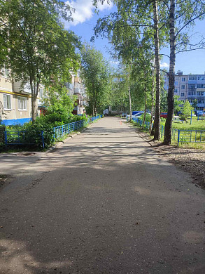 В Иванове домашняя собака укусила на улице ребенка