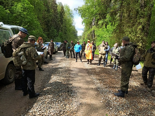 В Ивановской области в лесу нашли кости пропавшего без вести человека 