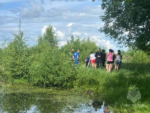 В Шуе в пожарном пруду утонули мужчина и подросток