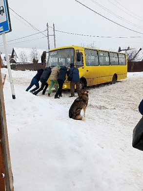 В Беляницах ивановцы сами выталкивали автобус