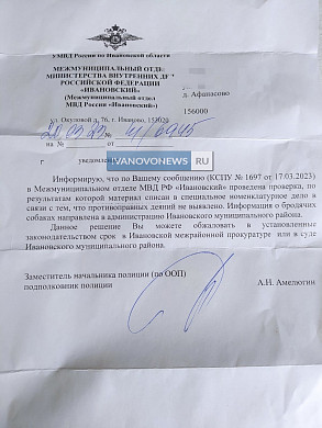 Жителей деревни Афанасово терроризируют бродячие собаки