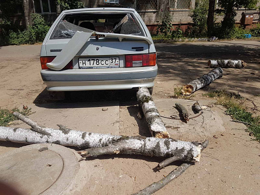 В Иванове дерево рухнуло на автомобиль
