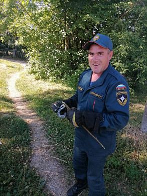 В магазин в Ивановской области заползла змея