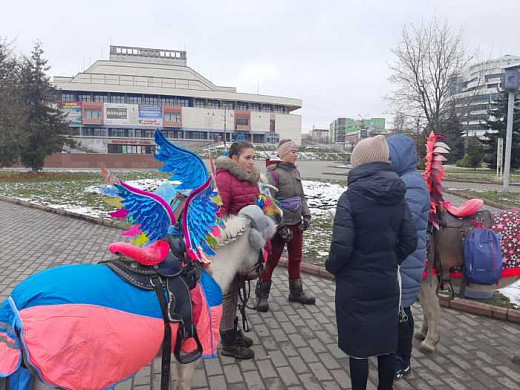 В Иванове лошадники эксплуатируют труд детей