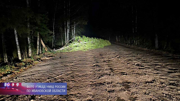 Автомобиль ударом снес дерево в Ивановской области