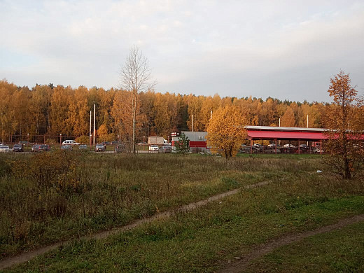Пенсионерку из Суховки замуровали