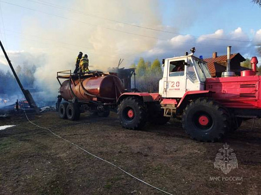 В Пестяковском районе на пожаре погибли два теленка
