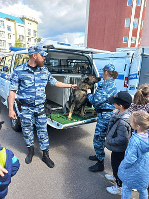 Ивановцам показали изъятое оружие преступников