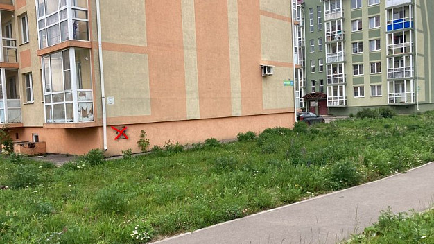 В Иванове целый район в считанные часы превратили в доску объявлений преступного содержания