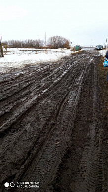 В Пучежском районе селяне жалуются на бездорожье, отсутствие света и воды
