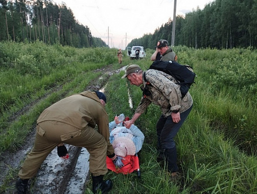  Ивановские поисковики вывели из леса пропавшую пенсионерку 
