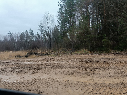  Дорогу Савино-Панфилово подсыпят в первой половине декабря 