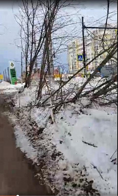 При уборке снега на ул. Станкостроителей пострадали деревья
