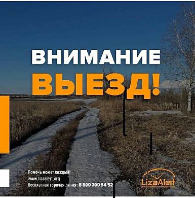  В Ивановской области искали в лесу троих взрослых и двоих детей 