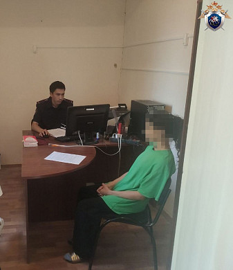 В Калмыкии осуждена женщина из Ивановской области, убившая младенца из-за плача