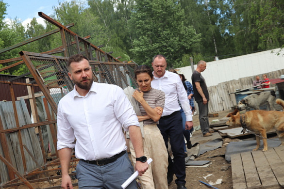  Ивановский приют «Майский день» получит больше полумиллиона рублей 