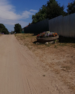 В Юже клумбу посчитали угрозой окружающей среде
