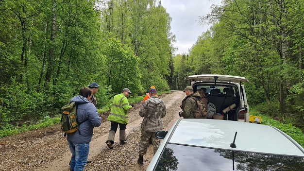 В Ивановской области в лесу нашли кости пропавшего без вести человека 