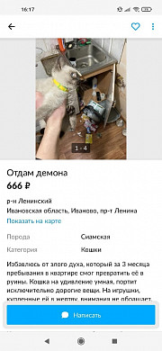 В Иванове на Avito продают демона