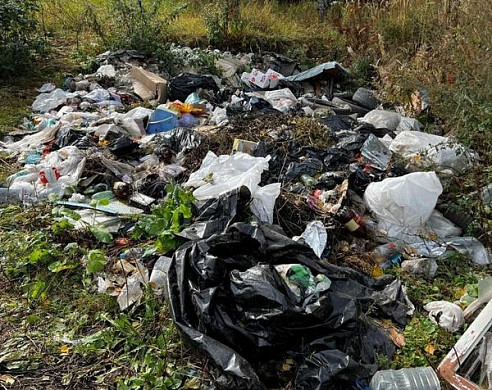  В Ивановском лесничестве обнаружены свалки мусора 